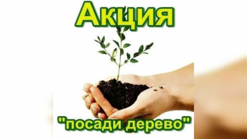 Экологическая акция "Посади дерево" Экологическая акция "Посади дерево".