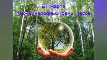 Международный день лесов Международный день лесов.