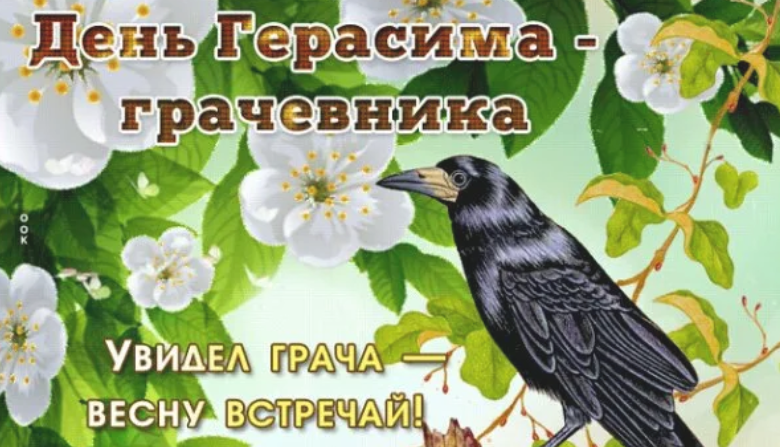 "День грачей" "День грачей".