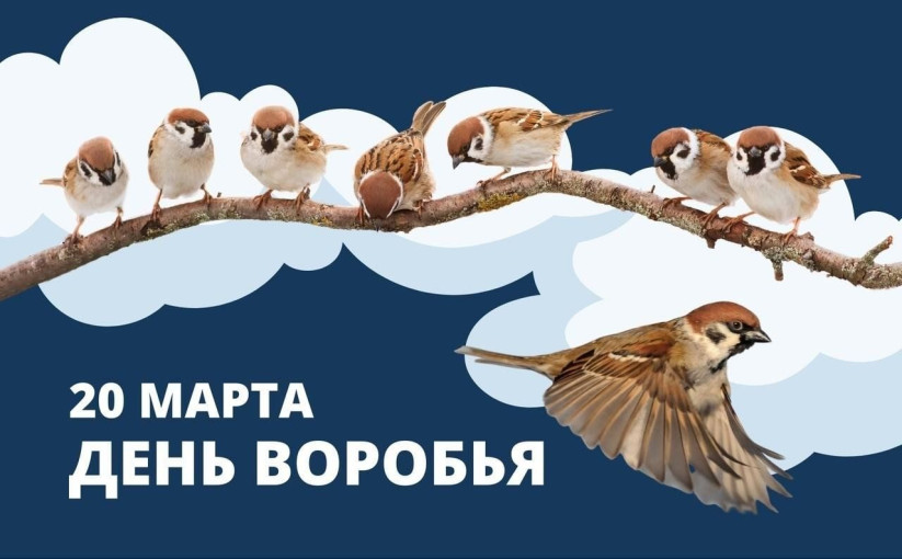 "Наши друзья-воробьи!" "Наши друзья-воробьи!".