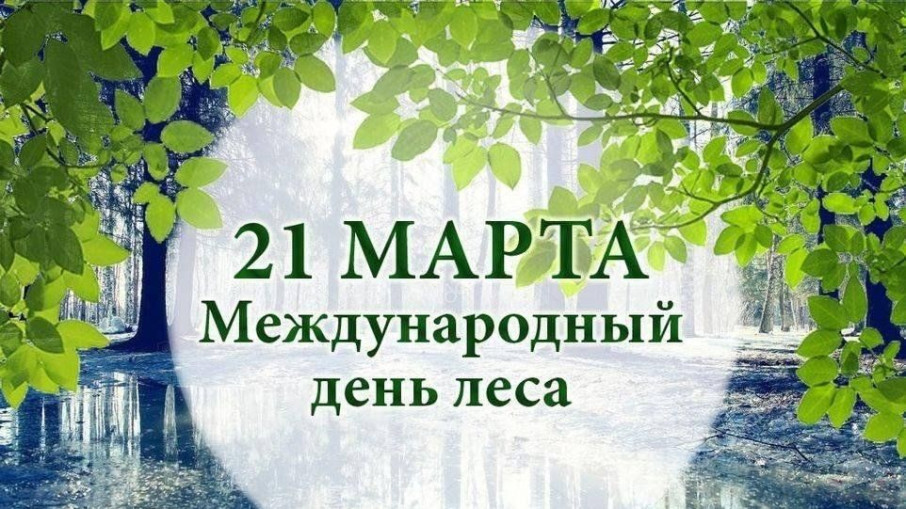 Международный день леса Международный день леса.